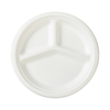 Food Degree Biodegradable Packaging Bagasse Pulp Plates