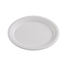 100% Eco-Friendly Sugarcane Bagasse Oval Plate Tray
