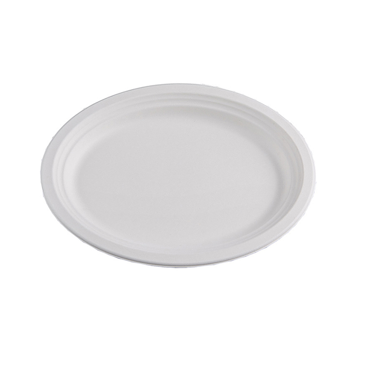 100% Eco-Friendly Sugarcane Bagasse Oval Plate Tray