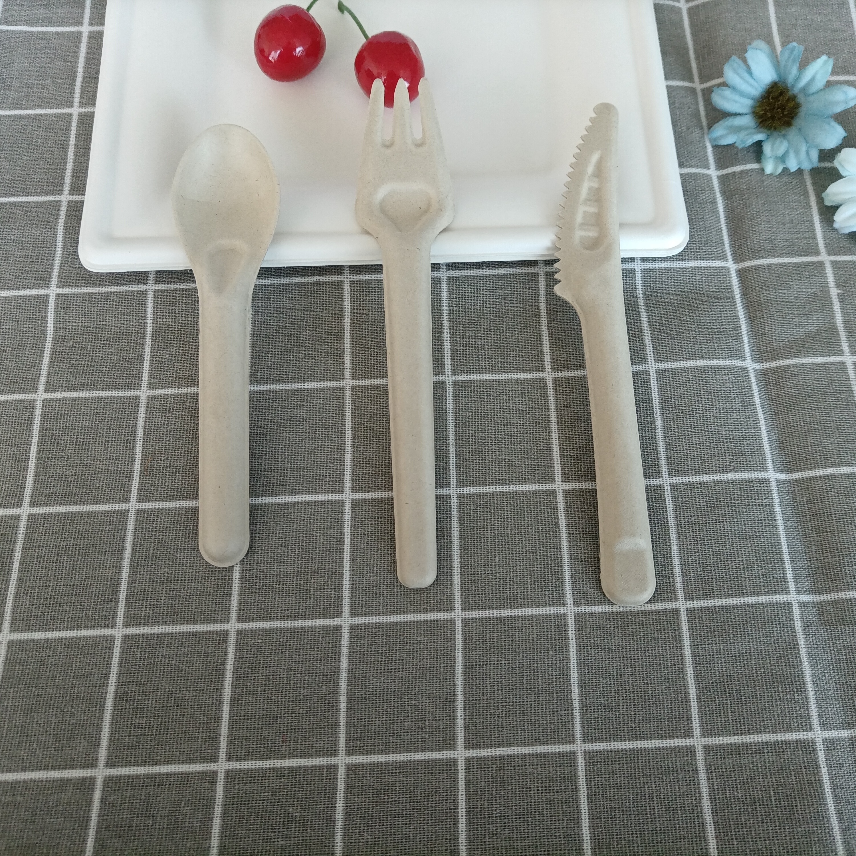 Eco-Friendly Biodegradable Disposable Cutlery for Snack Foods & Ice Cream Paper Pulp Knife Fork & Spoon Set for Camping