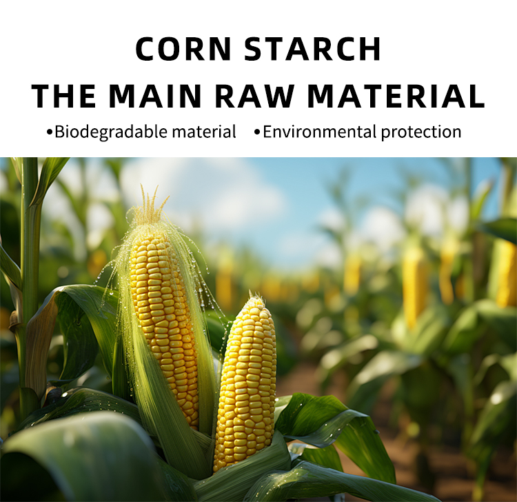 Eco-Friendly Corn Starch Compartment Container Biodegradable and Natural Takeaway Food Packaging with Portable Lid