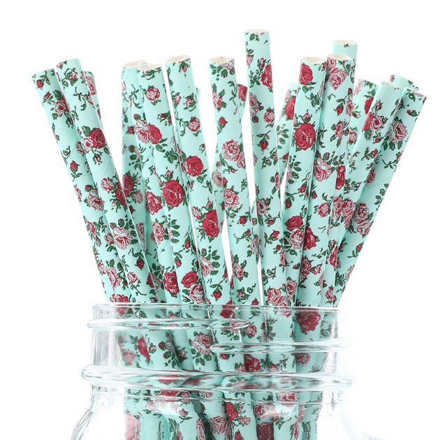 Customized degradable straw Best selling durable environmental protection milk tea drinks straw Fruit pattern straw