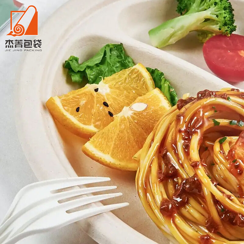 9In Disposable Paper Plates, Biodegradable Plates With 2 Compartments, Dinner And Lunch Plates, Paper Plates For BBQ,