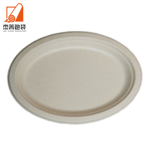Biodegradable 10 Inches Microwavable Round Compostable Plate sugarcane bagasse paper plate for sale