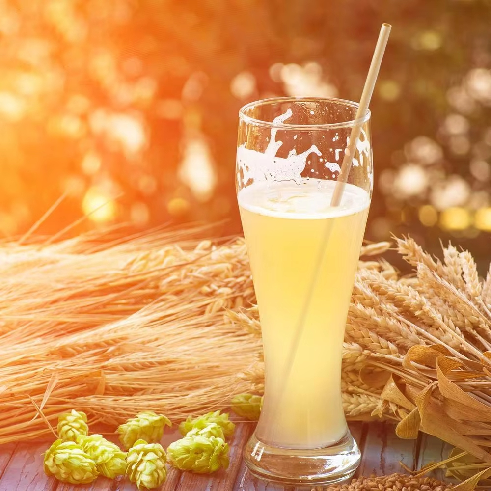 New arrival high quality hot selling premium eco-friendly nature wheat drinking straw set