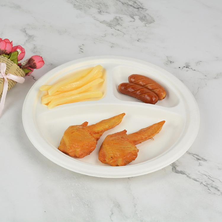 Round dinner plate Baggasse bowl and container