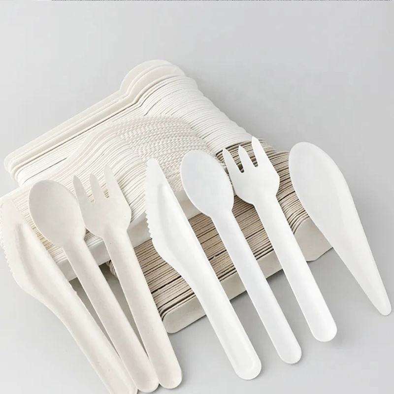 Wholesale Natural Biodegradable Bulk Bagasse Spoon forks knives Disposable Sugarcane Paper Cutlery