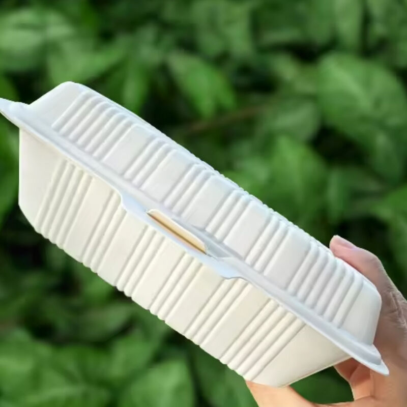 600ml disposable airtight food storage & container,disposable lunch box takeaway food,corn starch disposable lunch box