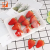 Disposable Biodegradable Cornstarch Meat Tray Eco-Friendly Take Away Food Tray