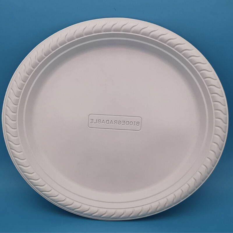10 Inch Round White Restaurant To Go Tableware Premium Eco Friendly Corn Starch Biodegradable Disposable Plate