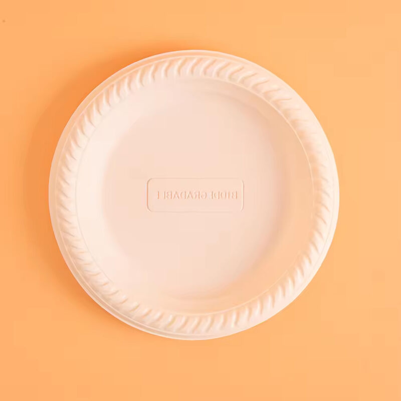 8 inch Cornstarch Bio-Based Custom Color Disposable Festival Food Dessert Cake Plate Party Supplies Tableware Plate Set