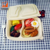 Disposable Packaging for food Lunch box with lid Biodegradable food box 2 compartment food box