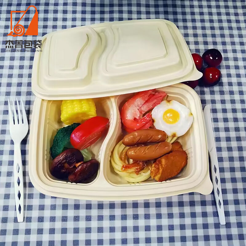 Disposable Packaging for food Lunch box with lid Biodegradable food box 2 compartment food box