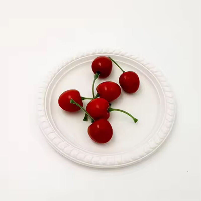 Custom LOGO 11 inch Disposable Plates for Parties Dishes Airline Tableware Dinnerware Sets