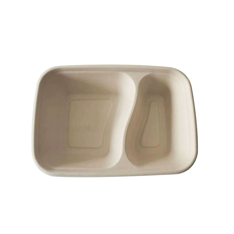 High quality Biodegradable rectangular style bagasse Sugarane meal box disposable bagasse pulp box for food