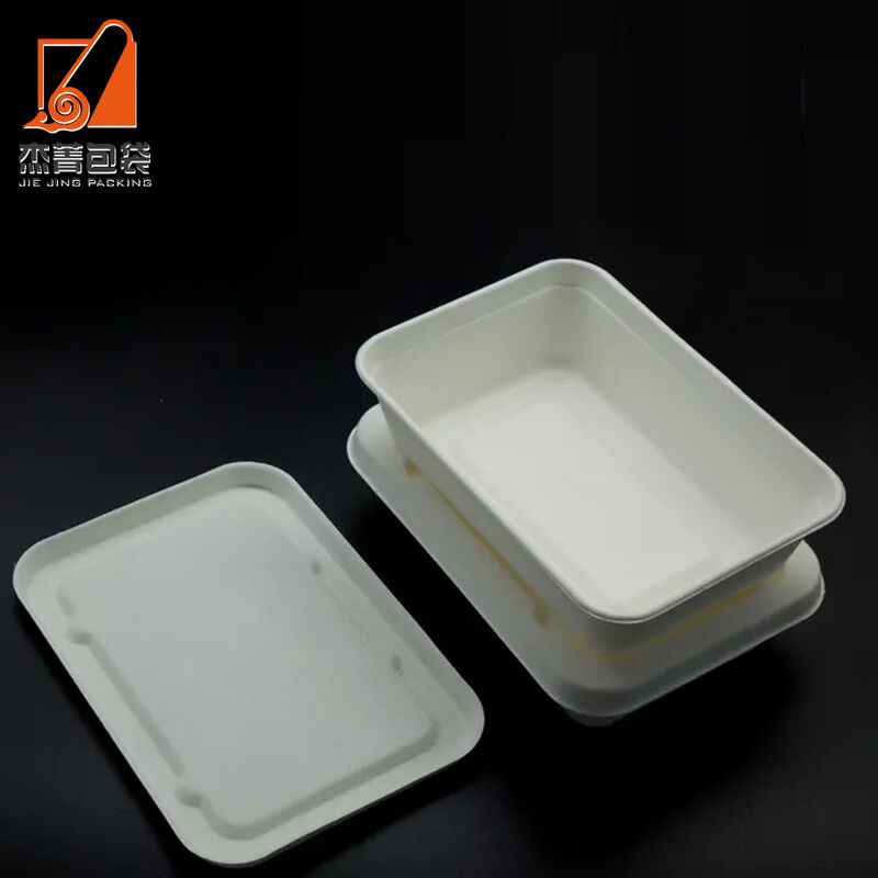 Disposable Bagasse 650ml Tray Lid Food Container Biodegradable Sugarcane Bento Lunch Box