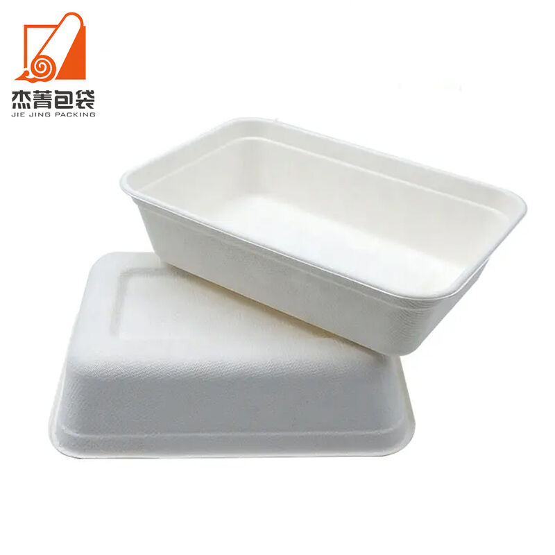 650ml food box compostable disposable biodegradable take-out school breakfast bagasse food container lunch box