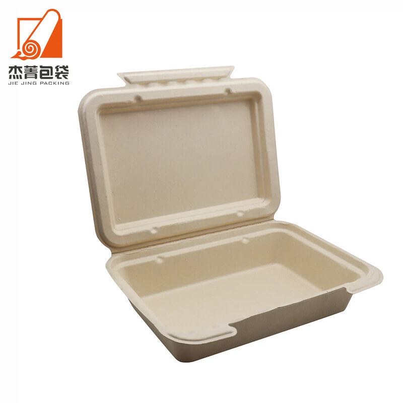 Compostable dishware take away food container for restaurant, restaurant take away boxes, 9*6 inch bagasse lunchbox