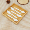 Individual Package Disposable Ice Cream Plastic Spoon Black Plastic Spoon