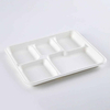 Großhandel Zuckerrohr-Bagasse-Verpackungsbehälter Bagaßen biologisch abbaubares Einweg-Zellstoff-Bahl