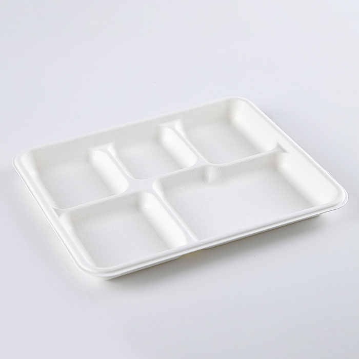 Großhandel Zuckerrohr-Bagasse-Verpackungsbehälter Bagaßen biologisch abbaubares Einweg-Zellstoff-Bahl