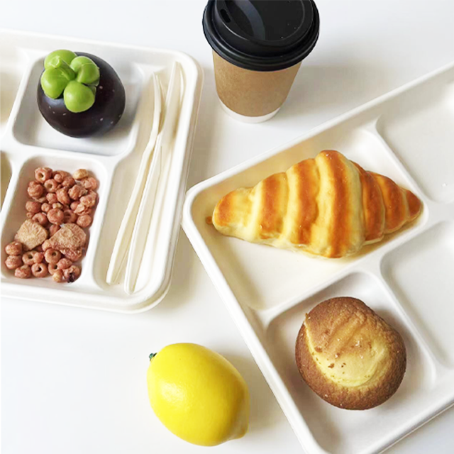 Bagasse 6 Compartmnet Tray Einweg-Serviert abletts mit mehreren Lebensmitteln