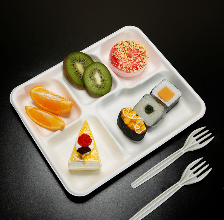 Sugarcane Bagasse Pulp 6 Compartments Biodegradable Food Trays