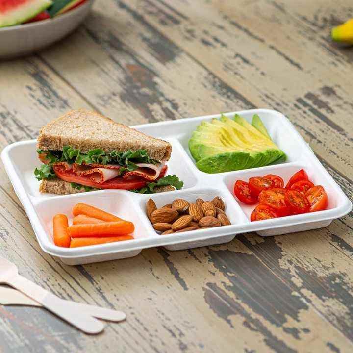 Biodegradable & Compostable Sugarcane Bagasse Plates 5 Compartment Fast Food Container Tray