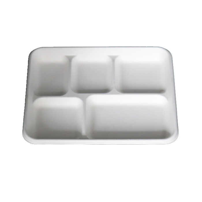 Biodegradable Sugarcane Bagasse Lunch Box
