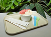 Compostable Individually Wrapped Cutlery Disposable Ice Cream Spoon PLA Colorful Ice Cream Tasting Spoons