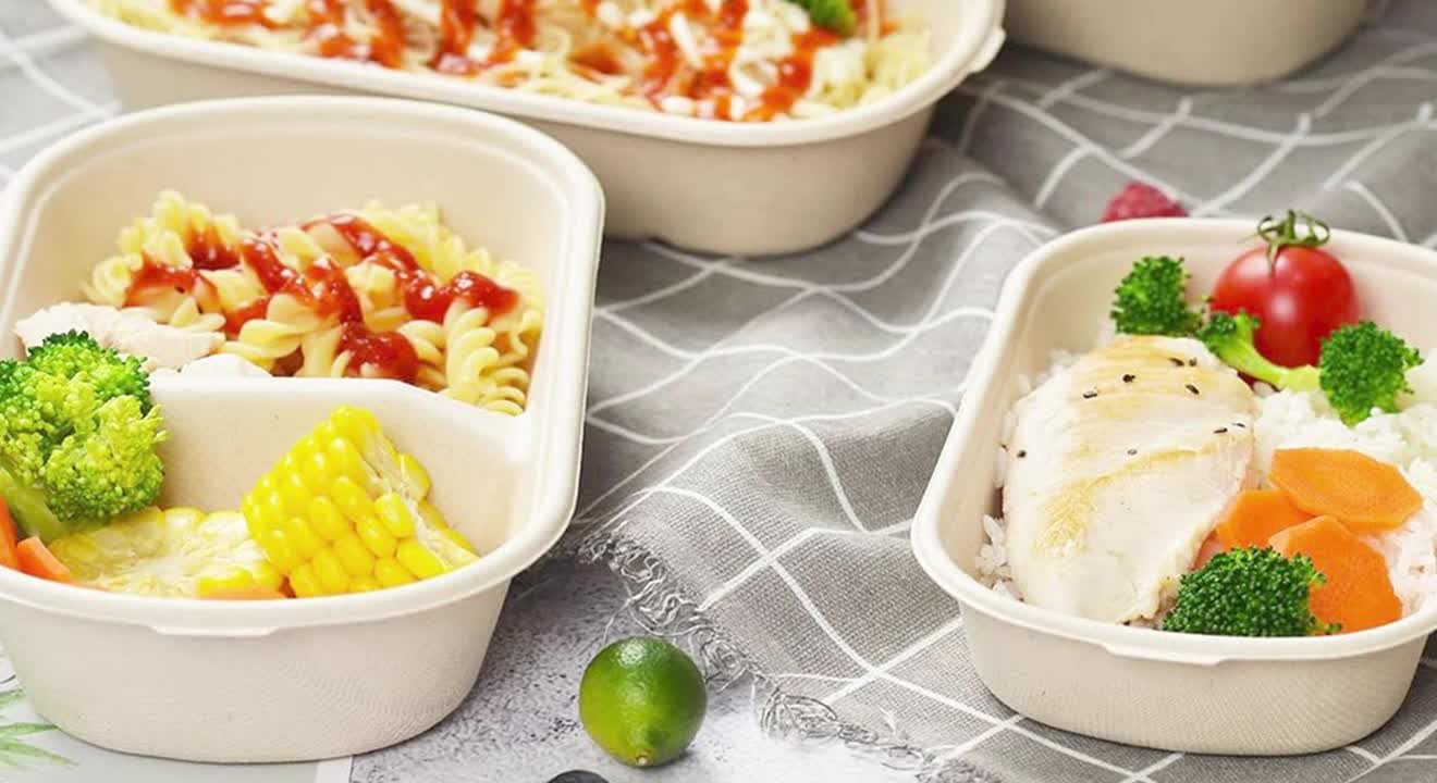 Einweg 750ml Rechteck Zuckerrohr 2-fach Lebensmittel behälter Biologisch abbaubare Bagasse-Lebensmittel box mit Deckel