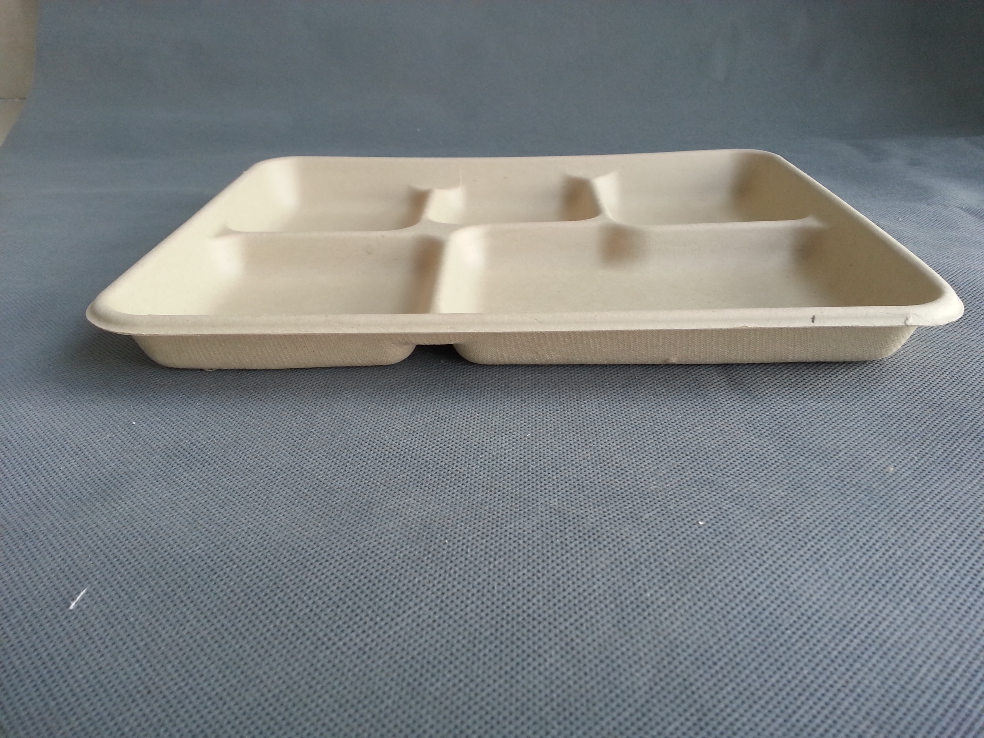 Manufacturer's Disposable 5-Compartment Sugarcane Bagasse Food Tray Well Made for Parties and Camping Safe for Refrigeration