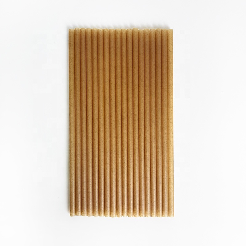 Zuckerrohr strohhalme Biologisch abbaubares kunststoff freies umwelt freundliches kompost ier bares Trink-Smoothie-Zuckerrohr-Bagasse-Stroh