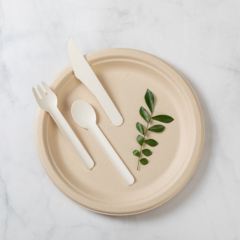 Food Degree Biodegradable Packaging Bagasse Pulp Plates