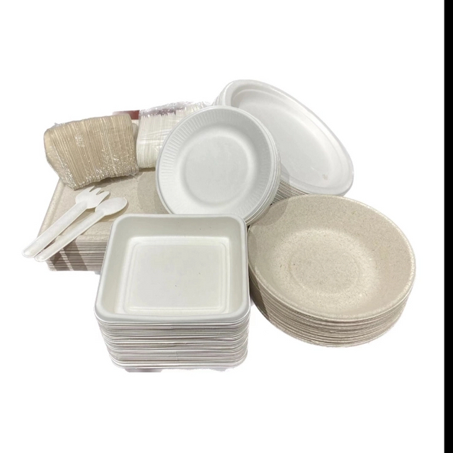 Hot sales white sugar cane food packaging bowl take away bagasse container with lids