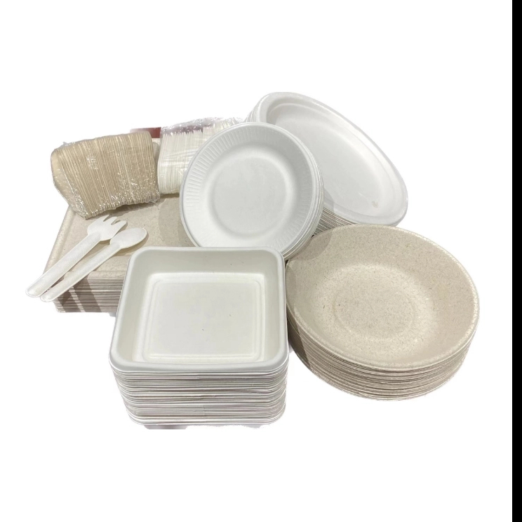 Hot sales white sugar cane food packaging bowl take away bagasse container with lids