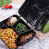 Disposable 4 Compartment Bento Box Hinged-Lid Lunch Container