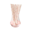 Paper Straw