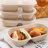 Factory Price Sugarcane Bowl Disposable Compostable Food Container 2 Compartment Bagasse Bowls with Lid for Restaurant Takeaway