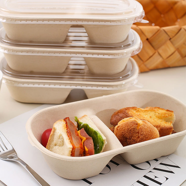 Factory Price Sugarcane Bowl Disposable Compostable Food Container 2 Compartment Bagasse Bowls with Lid for Restaurant Takeaway