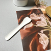 Food Grade Custom Printed Eco Friendly Paper Material Disposable Ice Cream Paper Spoons biodegradable ice cream spoons