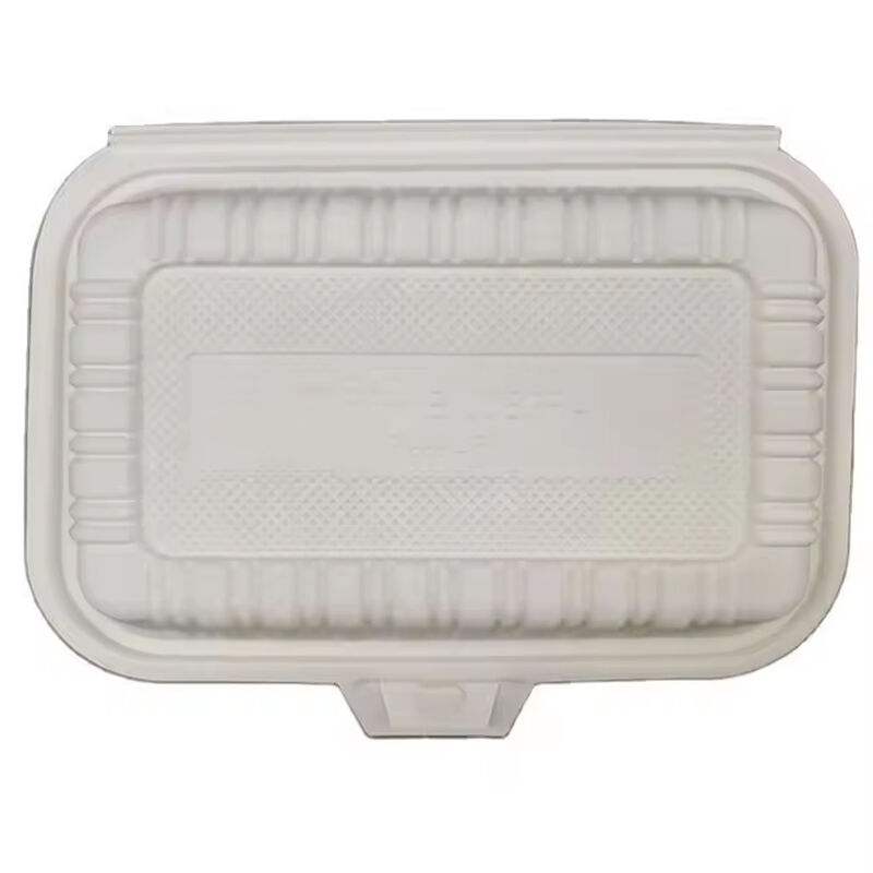 Bio-Based 6.5 Inch Takeaway Biodegradable Cornstarch Catering Lunch Food To Go Box Container Disposable Food Takeaway Packaging