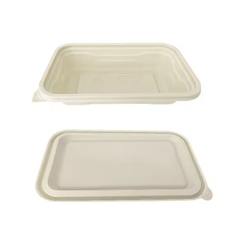 Wholesale compostable, eco-friendly and biodegradable corn starch food packing box with lid