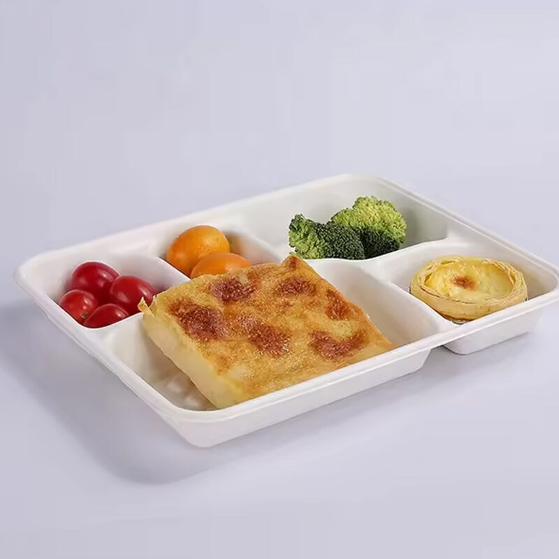 Rectangular Divided One Time Lunch Box 5 Compartment Corn Starch Disposable Degradable Meal Prep Lunch Box Food Container
