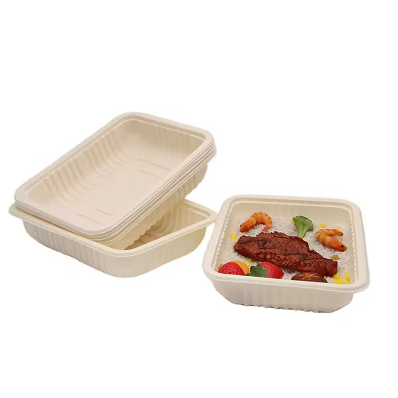 150ml Biodegradable Eco friendly White Cornstarch Compostable Storage Food Tray