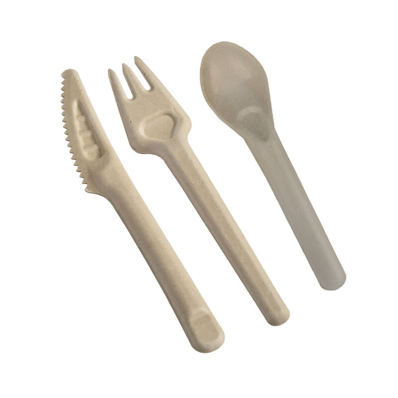 Wholesale High quality Cane syrup spoon Disposable tableware cane syrup knives forks spoons