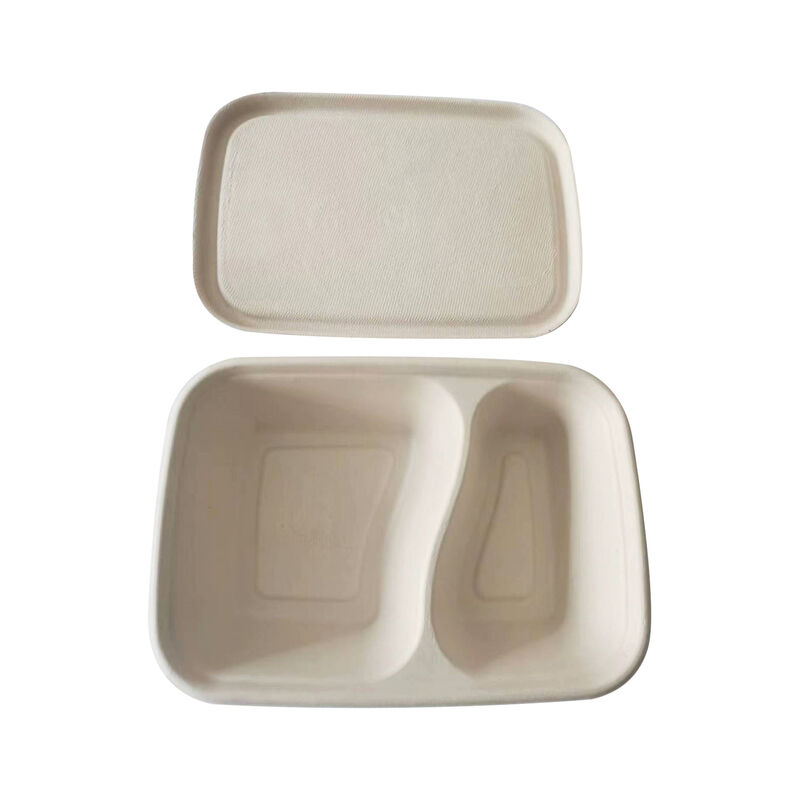 High quality Biodegradable rectangular style bagasse Sugarane meal box disposable bagasse pulp box for food