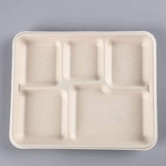 Großhandel Zuckerrohr-Bagasse-Verpackungsbehälter Bagaßen biologisch abbaubares Einweg-Zellstoff-Bahl