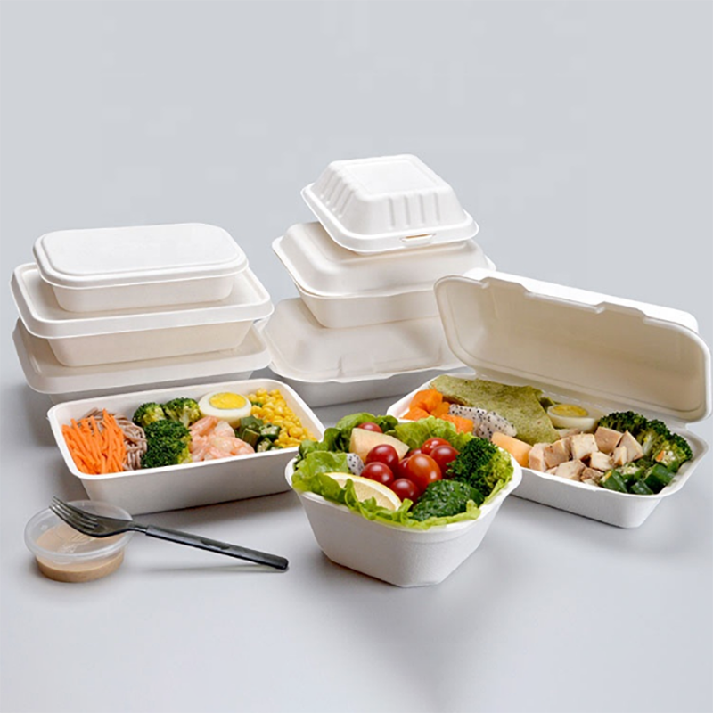 Sugarcane Bagasse Pulp 6 Compartments Biodegradable Food Trays