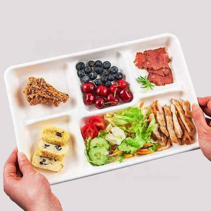 Biodegradable & Compostable Sugarcane Bagasse Plates 5 Compartment Fast Food Container Tray